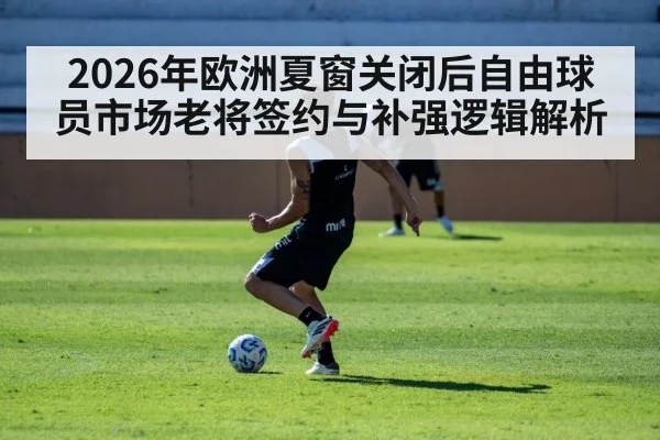 2026年欧洲夏窗关闭后自由球员市场老将签约与补强逻辑解析（nine game）